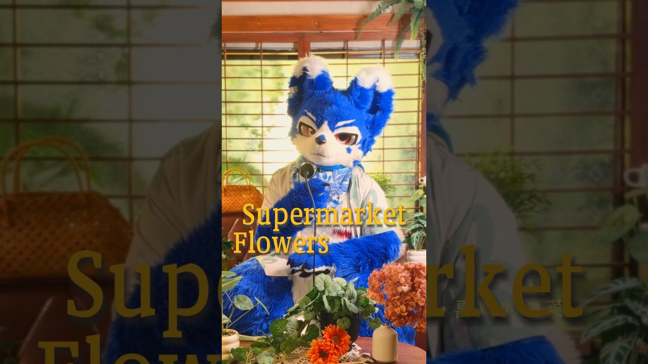 #SupermarketFlowers #edsheeran #songcovers #fursuit