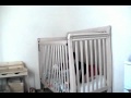 Baby Ninja Escapes His Crib