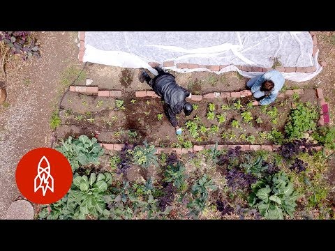 通過農場到餐桌的培訓幫助無家可歸者。 (Helping the Homeless Through Farm-to-Table Training)