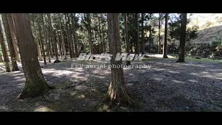 【FPV Aerial photography】FPV空撮 Spring in Japan 森林～桜 Micro Drone фото
