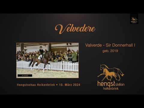 Velverdere - Hengstpräsentation 2024