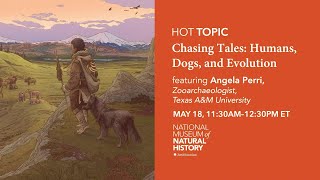HOT (Human Origins Today) Topic – Chasing Tales: Humans, Dogs, and Evolution