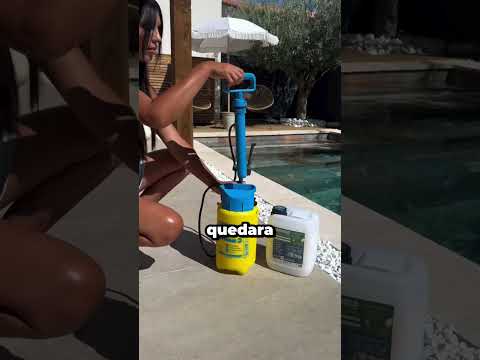 Encontró la solución perfecta para evitar que las piedras cayeran en la piscina!