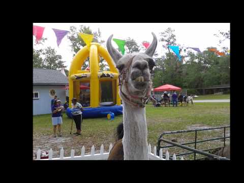 Woodbine Neighborhood  Fun Day