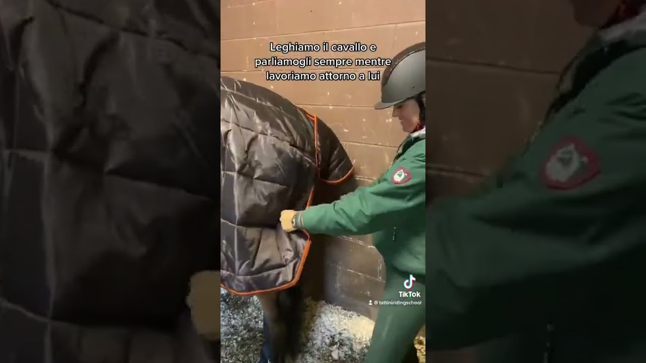 École d'équitation Tattini - Enlever la couverture