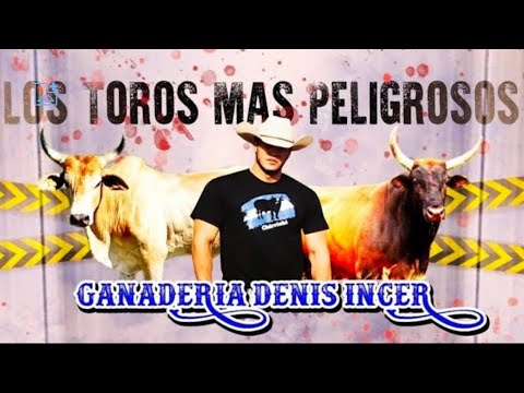 LO MEJOR DE GANADERÍA DENIS INCER EN PUEBLO NUEVO ESTELÍ 🔥🐂