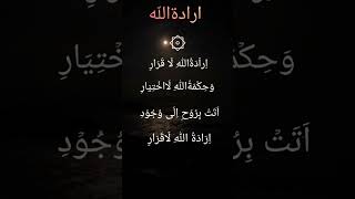 Download lagu suluk sholawat irodatulloh mp3