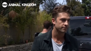 Animal Kingdom Music Video