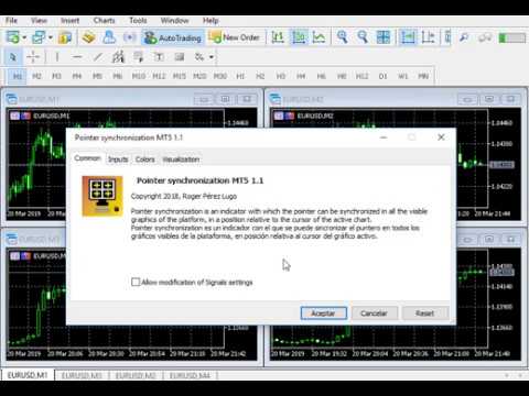 Video Pointer synchronization MT5