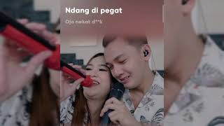 Download lagu OJO NJALUK PEGAT - Nella Kharisma (lirik) mp3 Download lagu OJO NJALUK PEGAT - Nella Kharisma (lirik) mp3