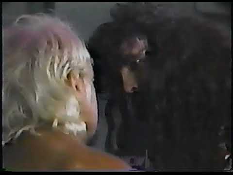 Cactus Jack promo from 1994 WCW