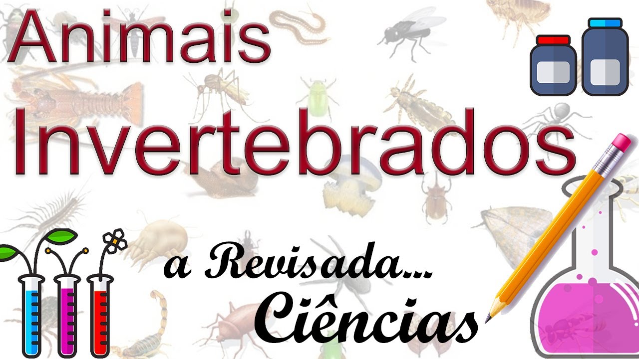 Ciências - Os animais Invertebrados