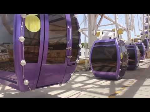 ZP89M Truss-Type Ferris Wheel