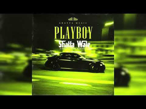 Shatta Wale - Playboy (Audio Slide)