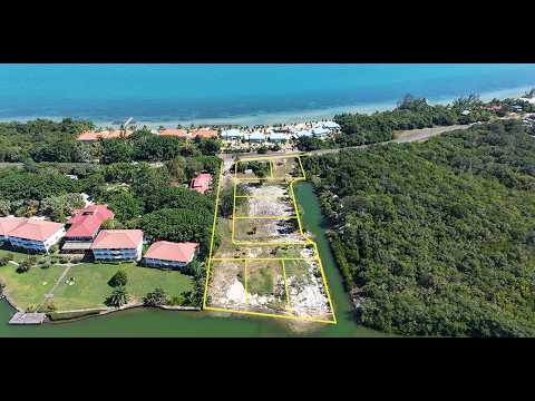 img-video