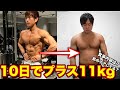 【増量経過】10日で11kg太りました。食事内容と肌のケア方法について【増量期】