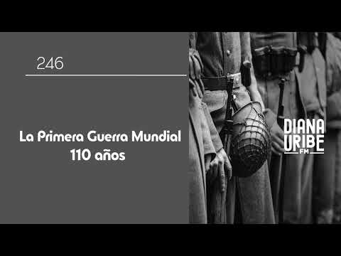 La Primera Guerra Mundial – 110 años