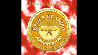 Armandinho e Conjunto Época de Ouro — Assanhado