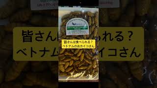 【サナギ食】ベトナムのおカイコさん #大井健輔 #循環型社会 #ベトナム経済