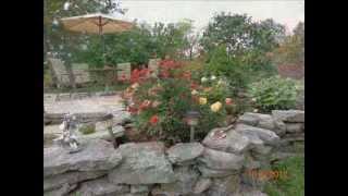 "Old Doc Brown" -sung/recited by Gord Struthers (Hand Snow cover)