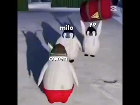 yo con el Milo y el owen xd