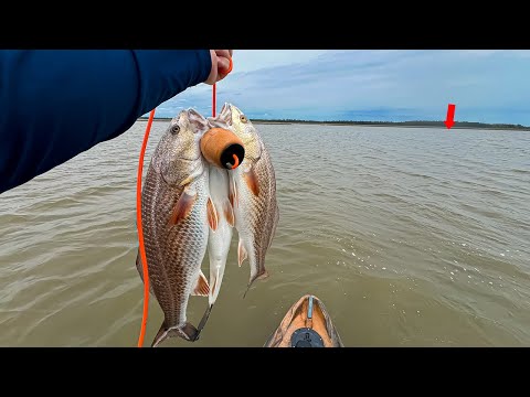 The EASIEST Way to Catch LIMITS of Redfish in Under an Hour!!