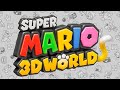 Super Mario 3D World Dunkview