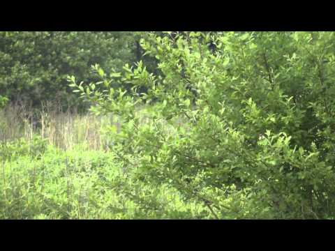 3 runda Do Azot i Nazot - Kamil Kolmasiak, Magdalena Witos, Seat Ibiza 021a