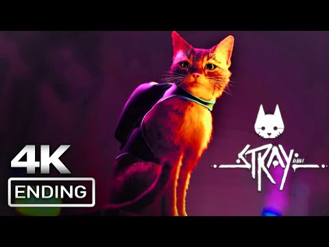 STRAY Ending PS5 4K 60FPS Ultra HD