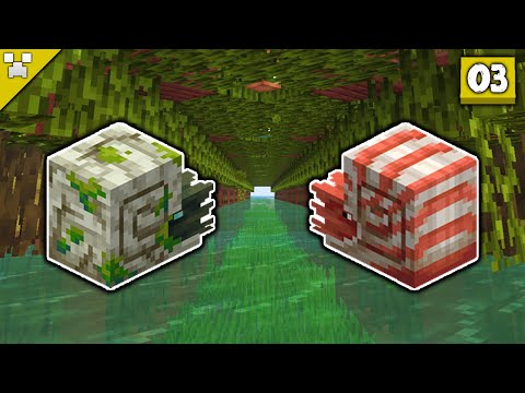 I Made a Nautilus Highway! | Python's World S2 (Minecraft Survival Let's Play)