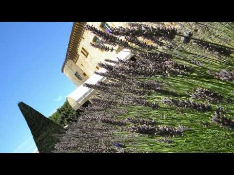 @ionbogdanstefanescu  Dan Voiculescu - Sonata 5