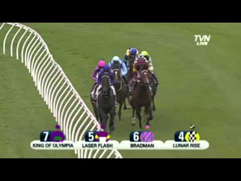 2012 Spring Champion Stakes - It's A Dundeel