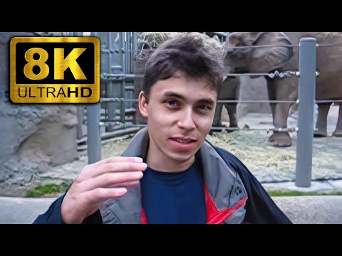 Me at the zoo - 8K Upscaled, 60 FPS