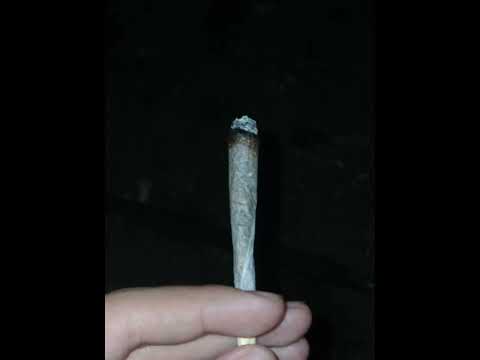 987- Comme des Tūpāpa'u