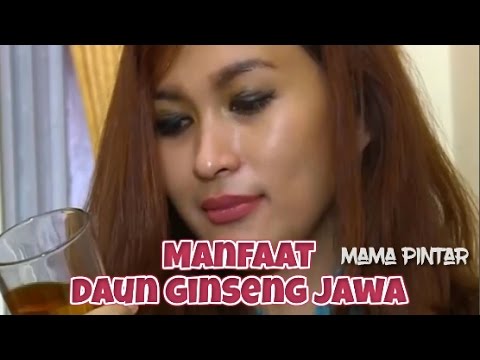 Kontol besar porno di pantat kecil Tradisional resep obat impotensi
