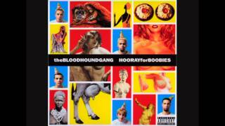 Bloodhound Gang - This Is Stupid