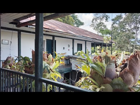 Martha Paez - Hacienda San Jorge de Viota Cundinamarca 