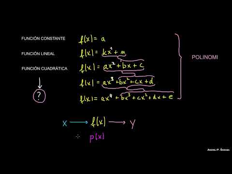 ¿Qué es un Polinomio? (Parte 1)
