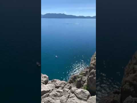 Is This Tahoe Tessie?