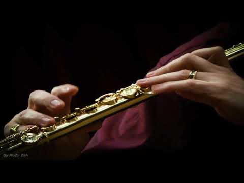 @ionbogdanstefanescu  Telemann - Sonata I for two flutes