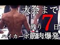 6日間糖質を抜いた体に大量の炭水化物を入れたら筋肉が爆発した!【ベストボディジャパン横浜大会7日前】