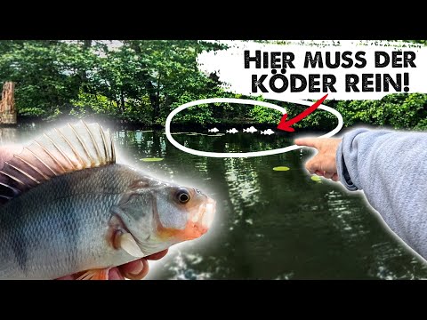 GARAGE RIG: HOW TO CATCH THEM IN THEIR CHILLOUT ZONE