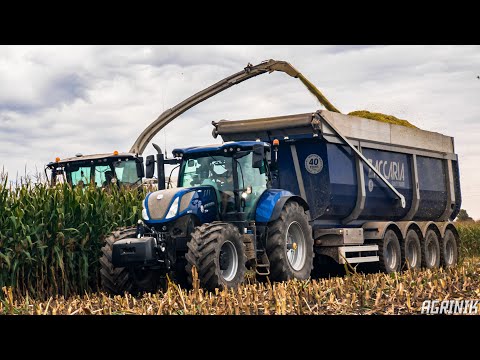 CLAAS JAGUAR 970 | NH T7.245 + ZACCARIA 4 ASSI | Trinciato Mais 2020 | Corn Silage | 4K UHD