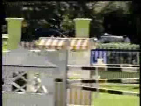 Cleopatra (Contender x Cambridge) Holsteiner Mare