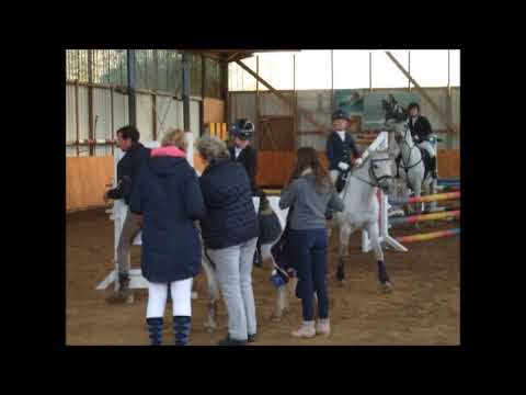 Mumann und Linnea im Springreiter WB