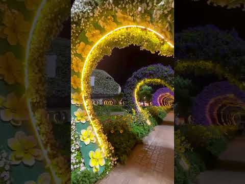 #newvideo #beautiful #best #new #reels #dubai #instagram #dubailife #dubaiplaces #subscribe #uae