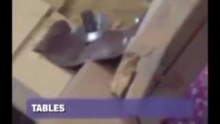 Bed Bugs - Find Out if They're in Your House