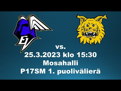 EräViikingit - Ilves