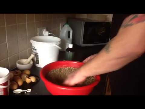 Breeding Greenfinches