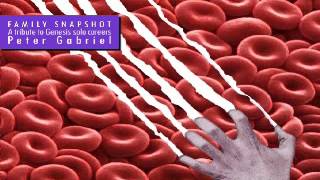 Maurizio di Tollo "Mother of violence"